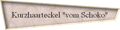 Kurzhaarteckel 