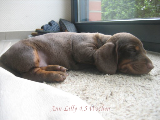 Ann-Lilly 4,5 Wochen